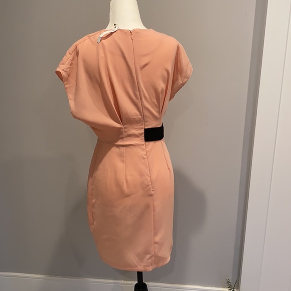 ASOS Pink Dress with Black waistband - Picture 4 of 6